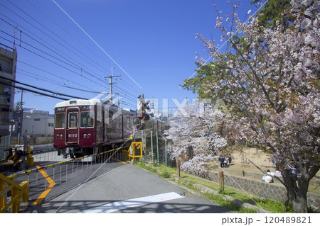 阪急甲陽線「苦楽園口」駅と夙川公園（夙川河川敷緑地）の桜「日本さくら名所100選」 120489821