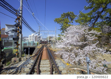 阪急甲陽線「苦楽園口」駅と夙川公園（夙川河川敷緑地）の桜「日本さくら名所100選」 120489822