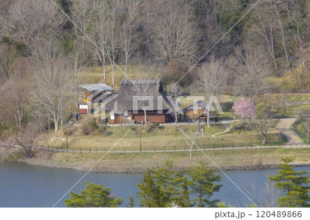 兵庫県立有馬富士公園の茅葺き屋根民家と桜/郷土富士/兵庫県三田市 兵庫県立有馬富士公園の茅葺き屋根民家と桜/郷土富士/兵庫県三田市 120489866