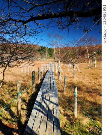 【山の風景】長野県・秋の入笠山・大阿原湿原 【山の風景】長野県・秋の入笠山・大阿原湿原 120489951