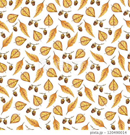 Autumn leaves, acorns on a white background. All objects are hand-painted with watercolor, watercolor seamless pattern. For textiles, printing on paper, fabric, for decoration and scrapbooking 120490014