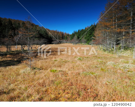 【山の風景】長野県・秋の入笠山・大阿原湿原 【山の風景】長野県・秋の入笠山・大阿原湿原 120490042