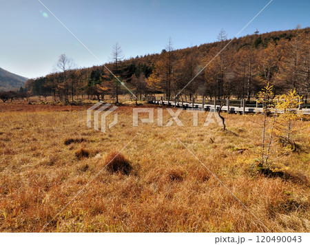 【山の風景】長野県・秋の入笠山・大阿原湿原 120490043