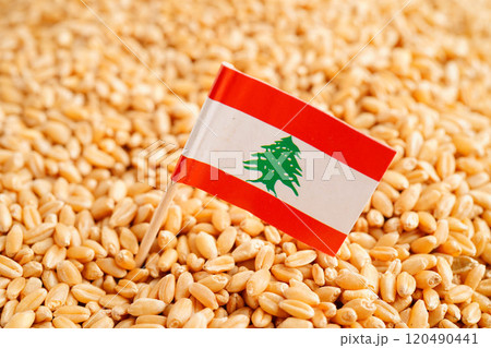 Lebanon flag on grain wheat, trade export and economy concept. 120490441