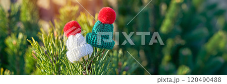 Mini Knitted Hats on Pine Branch in Winter Light, long banner 120490488
