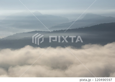 The weather is hot and humid, with a lot of water vapor creating a sea of mist in the foreground in the valley 120490597
