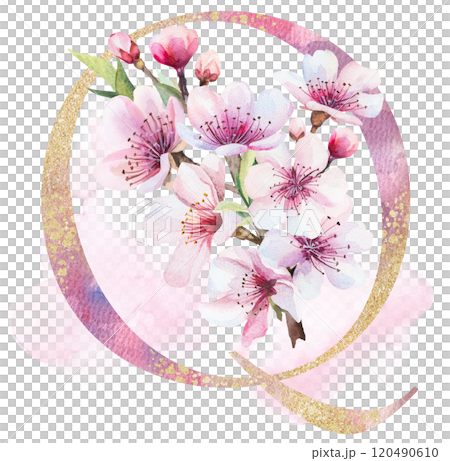 Watercolor and golden letter Q with pink cherry flowers and buds, wedding sakura isolated element 120490610
