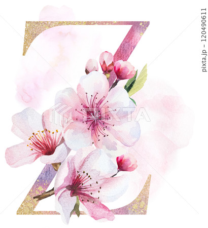 Watercolor and golden letter Z with pink cherry flowers and buds, wedding sakura isolated element Watercolor and golden letter Z with pink cherry flowers and buds, wedding sakura isolated element 120490611