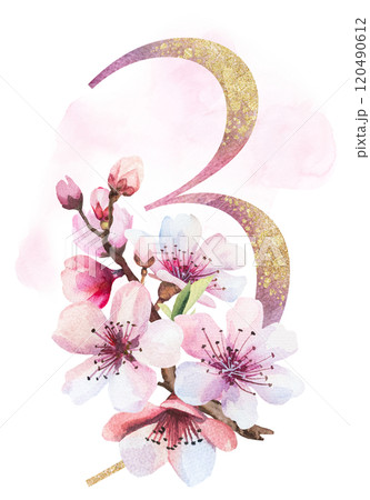 Watercolor and golden number 3 with pink cherry flowers and buds, wedding sakura isolated element 120490612