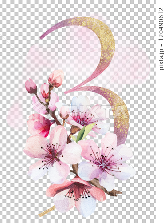Watercolor and golden number 3 with pink cherry flowers and buds, wedding sakura isolated element 120490612