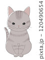 座っているかわいいキジトラ柄の猫 120490654