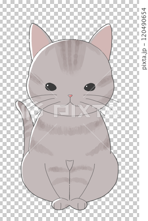 座っているかわいいキジトラ柄の猫 座っているかわいいキジトラ柄の猫 120490654