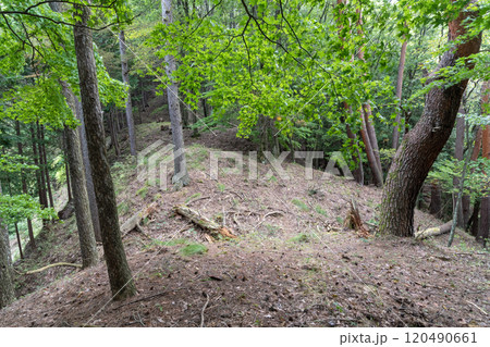 埴原城跡に残る連続堀切 120490661
