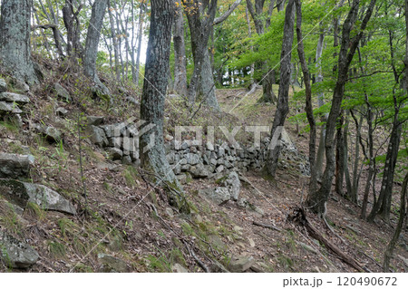 埴原城 主郭跡に残る石垣と土塁 埴原城 主郭跡に残る石垣と土塁 120490672