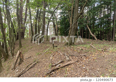 埴原城跡　二ノ郭 120490673