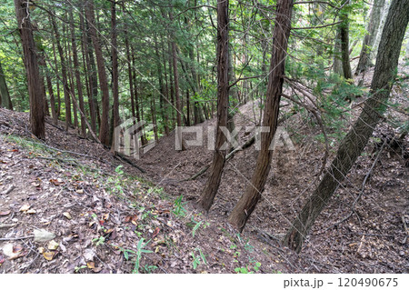 埴原城跡に残る堀切 120490675