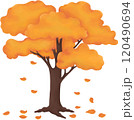Autumn Tree with Golden Leaves Colorful Tree Illustration 120490694