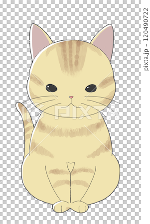 可愛的棕色虎斑貓坐著 120490722