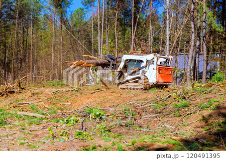 Trees are uprooted when contractor to prepare land for construction 120491395