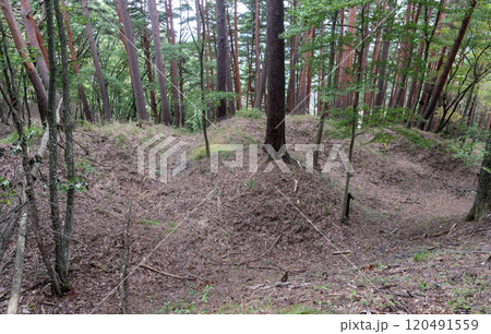 埴原城 堀底状通路と畝堀 埴原城 堀底状通路と畝堀 120491559
