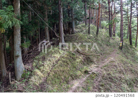 埴原城　尾根筋の段郭跡 120491568
