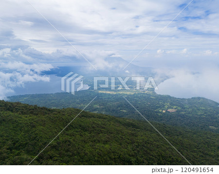 Green rainforest Ometepe island 120491654
