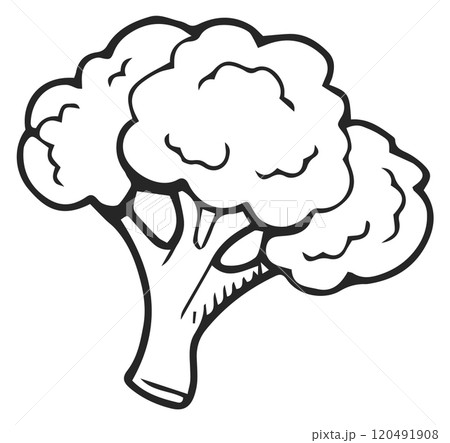 Broccoli doodle. Healthy food symbol. Vegetable icon 120491908
