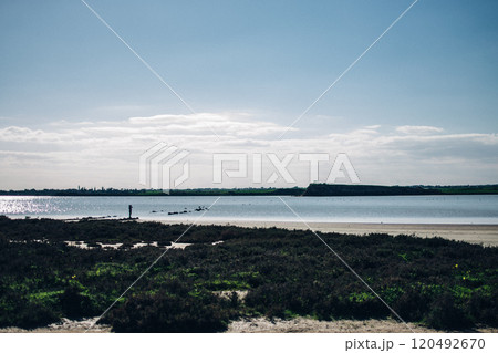 view of the salt lake where flamingos live, Larnaca, Cyprus 120492670