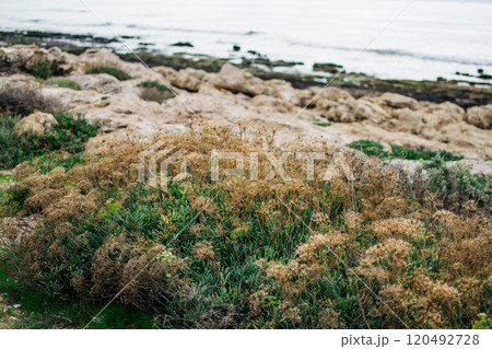 rocky coast of Ayia Napa, Cyprus 120492728