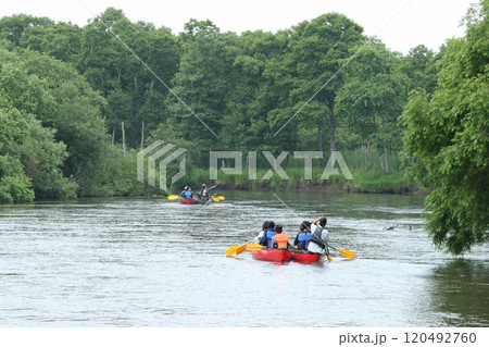 釧路川カヌー下り　釧路湿原観光　釧路湿原　釧路川 120492760