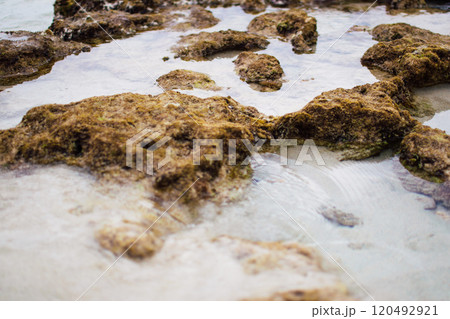 a textured landscape of wet, rocky terrain with shallow pools of water, surface appears rugged and uneven, showcasing natural erosion patterns a textured landscape of wet, rocky terrain with shallow pools of water, surface appears rugged and uneven, showcasing natural erosion patterns 120492921