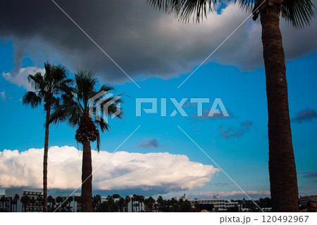 the coast of the sea near Paphos, Cyprus 120492967
