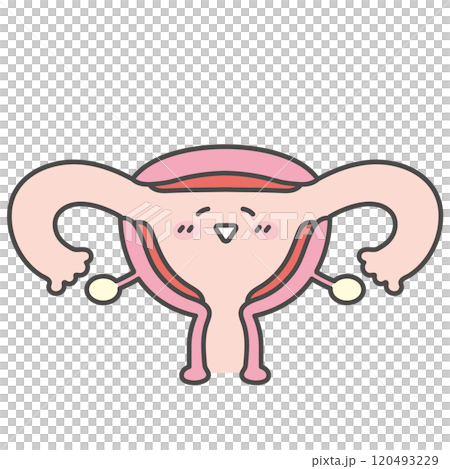 子宮のキャラクターイラスト 120493229