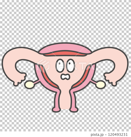 Uterus character illustration 120493231