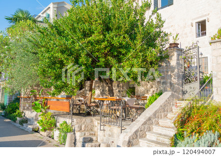 A family outdoor cafe with shaded trees, stone walls, and cozy tables, offering a warm and inviting dining experience. 120494007