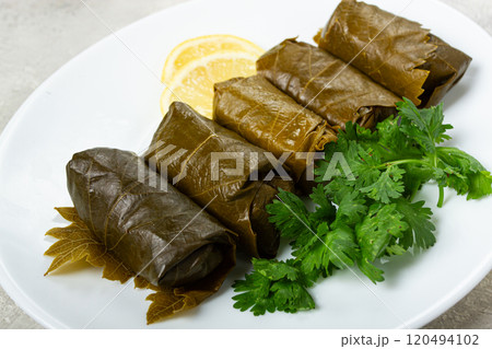 dolma, minced meat with rice, in grape leaves, rolls with minced meat, on a white plate, top view, no people, dolma, grape leaves with filling, 120494102