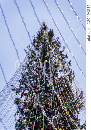 Christmas Tree with decorations and Illuminations in snowy night. New Year, Christmas holiday in city. Winter background 120494256