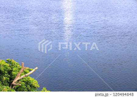 Water surface background with sun reflections. Aerial view of Waves on Water surface with Defocus blurred green Tree at the corner. Water surface background with sun reflections. Aerial view of Waves on Water surface with Defocus blurred green Tree at the corner. 120494848