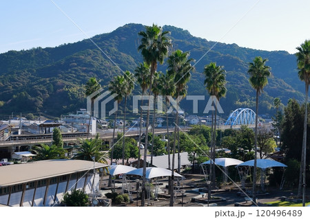 ヤシーパーク　ヤシィーパーク　高知 120496489