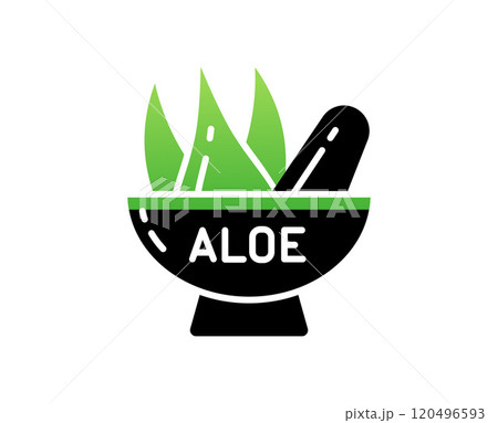 Eco business Aloe Vera Icon, Juice Plate with Flower and text aloe, Stylish Gradient in a vector Eco business Aloe Vera Icon, Juice Plate with Flower and text aloe, Stylish Gradient in a vector 120496593
