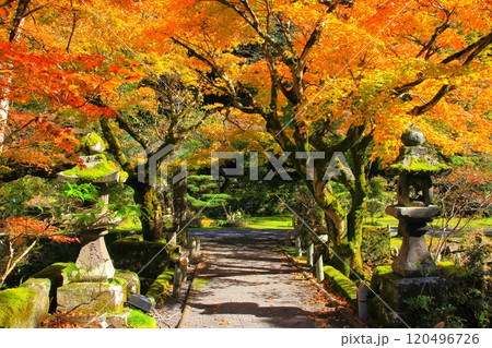 秋の宝生寺（豊後大野市） 120496726