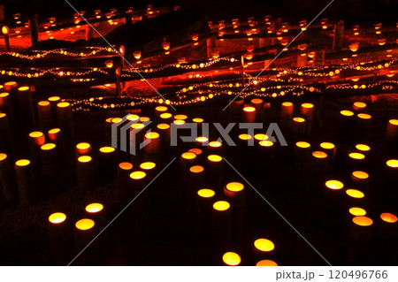 うすき竹宵(臼杵市) うすき竹宵(臼杵市) 120496766