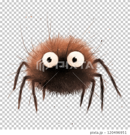Watercolor Illustration of a Cute Jumping Spider with Big Eyes, Whimsical Insect Design on Transparent Background 120496951