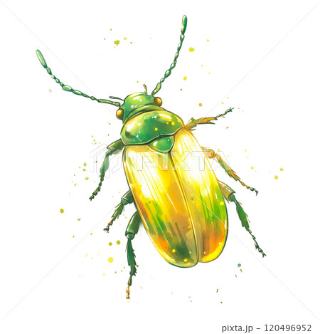 Watercolor Illustration of a Shiny Green Beetle, Detailed Insect Design on Transparent Background 120496952