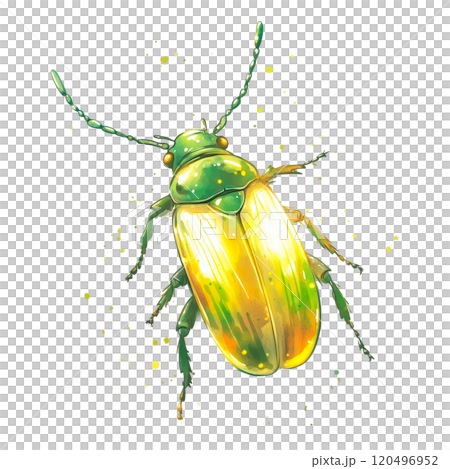Watercolor Illustration of a Shiny Green Beetle, Detailed Insect Design on Transparent Background 120496952