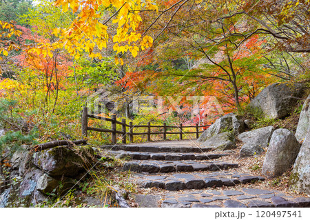 秋の昇仙峡 秋の昇仙峡 120497541