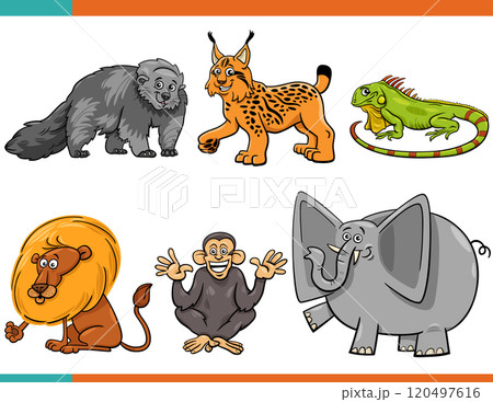 cartoon funny wild animals comic characters set 120497616