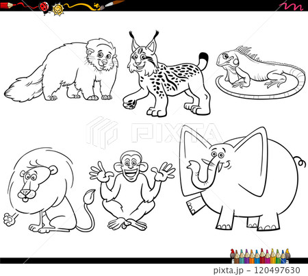 cartoon funny wild animals characters set coloring page cartoon funny wild animals characters set coloring page 120497630
