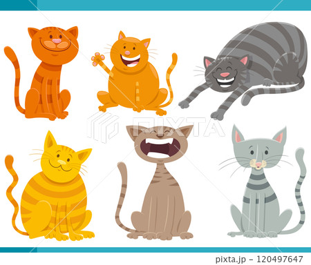 cartoon cats and kittens animal characters set cartoon cats and kittens animal characters set 120497647