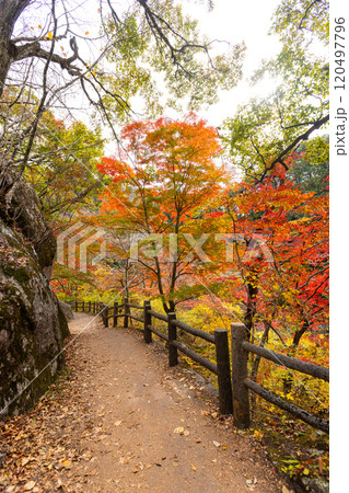 秋の昇仙峡 120497796